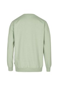 Light green sweatshirt, crew neck, long sleeves, soft fabric, ribbed hem and cuffs, simple design, no patterns or embellishments.