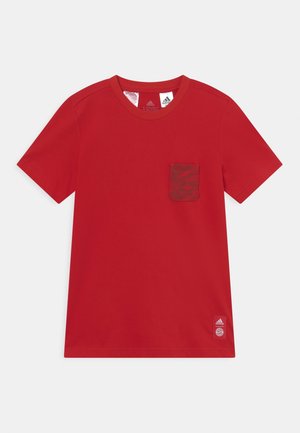 Equipación de clubes - red