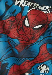 Spider-Man grafiek met een rood en blauw ontwerp, met een opvallend webpatroon en iconisch masker detail, tegen een blauwe achtergrond.