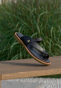 Επιλέχθηκε, brown