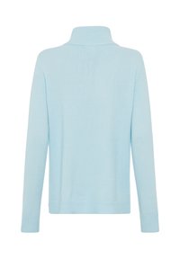 Hellblauer Pullover mit hohem Kragen, langen Ärmeln und gerippten Bündchen. Glatte Textur, lässige Passform und keine sichtbaren Muster oder Akzente.