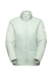 Giacca invernale isolata Mammut di colore grigio chiaro, con zip frontale completa, colletto alto e logo sul petto sinistro e sulla manica destra.