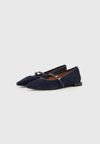 Ballerine in suede blu navy con punta affilata, dotate di una fascia sul collo del piede con hardware dorato e tacco a blocco basso.