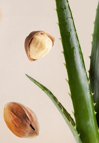 Miniatyrbild 4