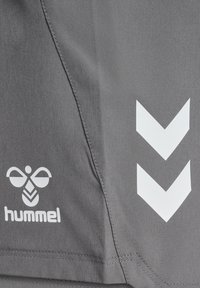 Grijze sportbroekjes van soepel, lichtgewicht stof. Bevat een wit logo en een diagonaal chevron patroon aan de zijkant.