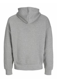 Vaaleanharmaa hupullinen collegepaita, kuvattuna takaa, jossa pitkät hihat sekä resorireunukset hihoissa ja helmassa.