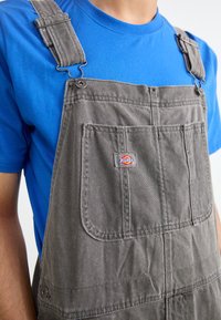Gray denim overalls with metal clips, front pocket, and Dickies logo; worn over a blue shirt. Material shows slight texture and creases.