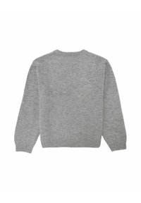 Grijze gebreide trui met een ronde hals, geribbelde manchetten en zoom, met een zachte textuur en gemiddelde dikte. Achteraanzicht weergegeven.