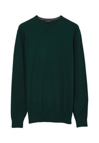 Calliope PROFILI CONTRASTO FIN  - Strickpullover - vert