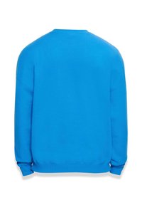 Klar blå sweatshirt med rund hals, lange ermer og ribbede mansjetter. Glatt tekstur og vanlig passform, ensfarget uten mønstre eller dekorasjoner.