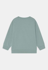 Sudadera verde menta con mangas largas, puños acanalados y cuello redondo. Textura suave, diseño simple y sin patrones visibles.
