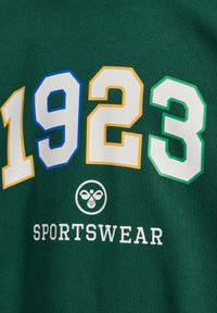 Groene sweatshirt met gedurfde, meerkleurige cijfers "1923" in blauw, geel, wit en groen; "SPORTSWEAR" eronder gedrukt in het wit.