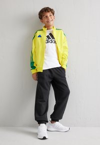 adidas Performance TIRO NATIONS PACK UNISEX - Chaqueta de entrenamiento - bright yellow/bold green/bold blue