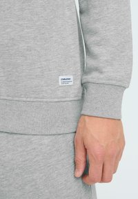 Sweat-shirt gris avec poignets et ourlet côtelés, doté d'une petite étiquette bleue et blanche sur le côté. Texture de tissu lisse de poids moyen.