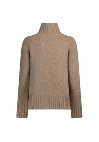 Maglione beige a collo alto lavorato a maglia con maniche lunghe, polsini, orlo e collo a coste, mostrato da dietro su uno sfondo bianco.
