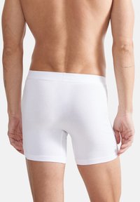 Witte katoenen boxers met een snug fit, een zachte textuur en een elastische tailleband. Het uitzicht toont de achterkant met strakke lijnen en geen extra ontwerpelementen.