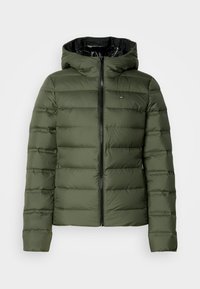 SLIM HOOD - Chaqueta de plumas - pewter green