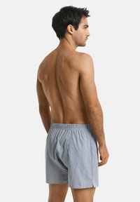 Boxers rayés pour hommes en bleu clair et blanc. Taille élastique, coupe décontractée, texture douce et fentes latérales pour plus de confort.