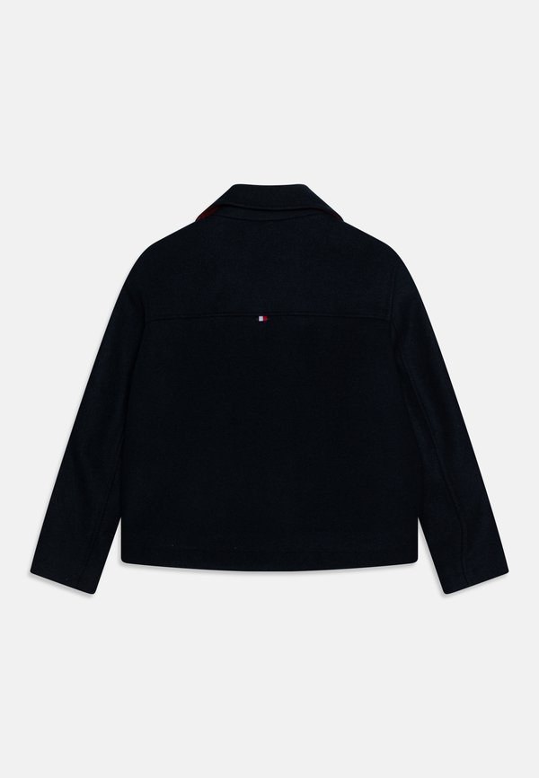 CHECK LINED PEACOAT - Winter jacket - desert sky3