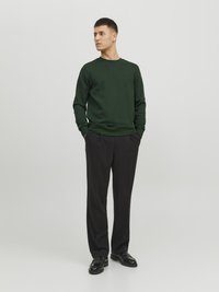 Jack & Jones UNISEX - Sweatshirt - mountain view
