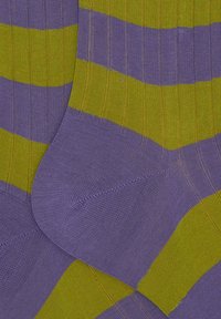 Calzini a righe in alternanza tra viola e verde lime, caratterizzati da una texture a coste e un tessuto a maglia liscia. Accentuati da un forte contrasto di colore.