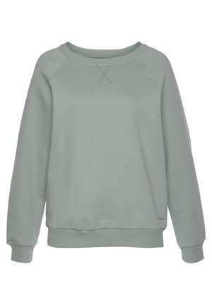 Helles grünes Sweatshirt aus weichem Material, mit einem Rundhalsausschnitt, Raglanärmeln und gerippten Bündchen und Saum. Einfach, ohne Muster oder Verzierungen.