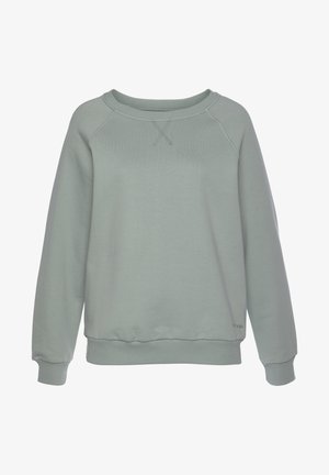 Helles grünes Sweatshirt aus weichem Material, mit einem Rundhalsausschnitt, Raglanärmeln und gerippten Bündchen und Saum. Einfach, ohne Muster oder Verzierungen.