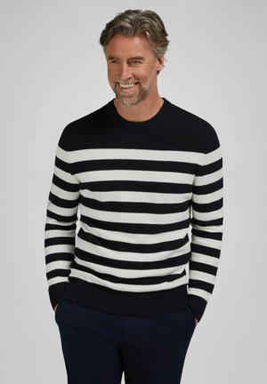 Mann mit grauem Haar und Bart lächelt, trägt einen marineblauen und weißen gestreiften Pullover und marineblaue Hose, Hände in den Taschen, vor hellem grauem Hintergrund.