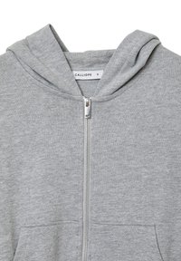 Veste à zip grise avec capuche, fabriquée en tissu doux. Dotée d'une fermeture éclair argentée et de deux poches avant. L'étiquette indique "CALLIOPE" et taille "S."