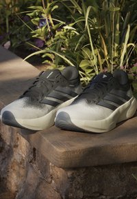 Chaussures de course gris clair et noir avec des semelles blanches épaisses, des lacets noirs et trois bandes foncées, placées sur un rebord en pierre près de plantes vertes.