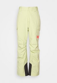 SWITCH CARGO INSULATED - Skihose - iced matcha