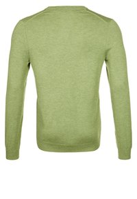 Hellgrüner Pullover, lange Ärmel, Rundhalsausschnitt, aus einem weichen Strickmaterial gefertigt. Verfügt über eine glatte Textur mit Rippdetails am Saum.