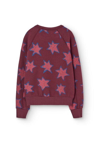 Sudadera de color marrón con un patrón texturizado de estrellas azules y rosas. Cuenta con mangas raglán y un dobladillo y puños de canalé.