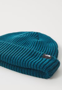 The North Face FISHERMAN BEANIE UNISEX - Berretto - midnight petrol