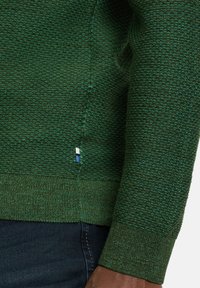 Grüner Strickpullover aus strukturiertem Stoff, mit gerippten Bündchen und Saum; verfügt über ein Seitennähtag mit blauen und weißen Akzenten.