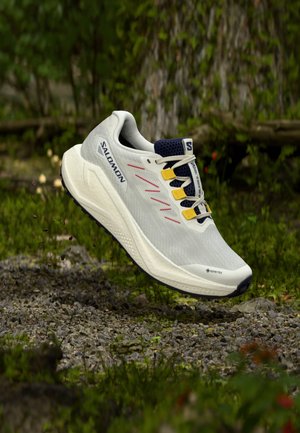 AERO BLAZE 3 GRVL GTX - Metsajooksu tossud - vanilla ice/astral aura/lemon