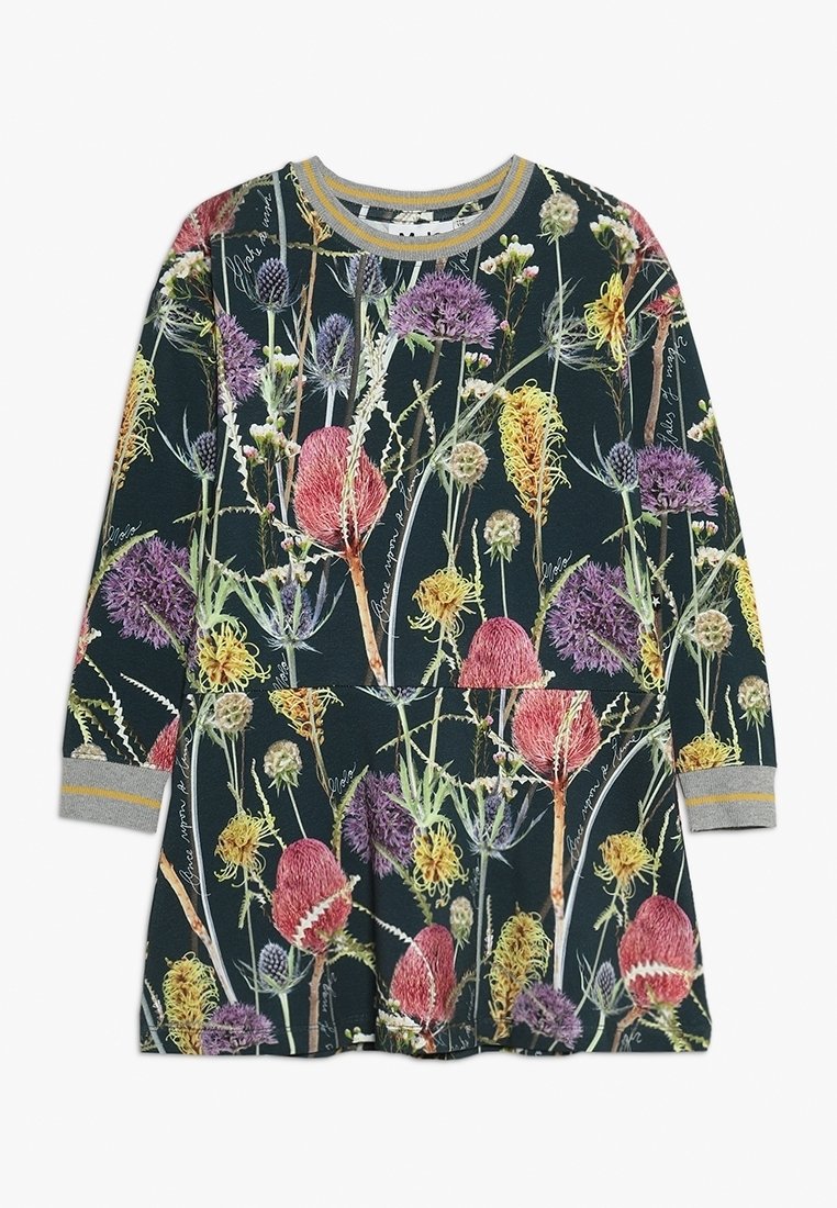 Robe à manches longues avec imprimé coloré de fleurs sauvages et de chardons sur fond sombre, avec col et poignets côtelés gris et jaunes.