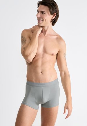 Grijze katoenen boxershorts met een gladde textuur en een elastische tailleband. Het logo op de tailleband is subtiel in een bijpassend grijs gedrukt.