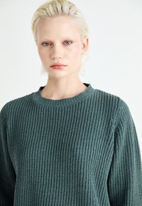 Vero Moda VMAGATE BLOCK ONECK - Pullover - balsam green