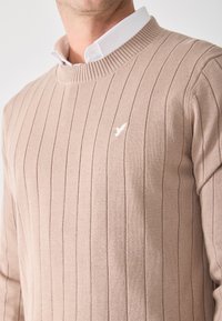 Pull en tricot beige avec une texture côtelée verticale et un col rond. Petit logo blanc sur la poitrine. Manches longues, matériau doux.