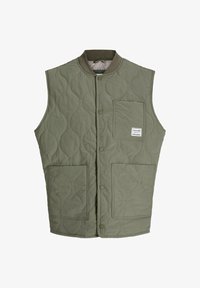 Pasirinkta, dusty olive