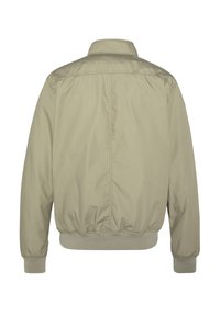 Hellgrüne Bomberjacke mit gerippten Bündchen und Saum, die ein einfaches Design und eine glatte Textur aufweist, von hinten betrachtet.