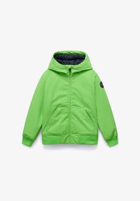 Ikke valgt, green macaw