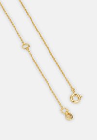 Michael Kors NECKLACE BOXED GIFTING - Halsband - gold-coloured