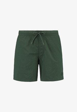 Žalios maudymosi šortai su elastinga juosmens juosta, su virvute užtraukti, lygaus paviršiaus ir maža logotipo detalė apatinėje dešinėje pusėje.