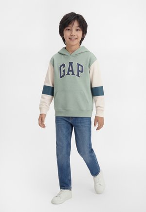 HERITAGE - Sweat à capuche - iceberg green