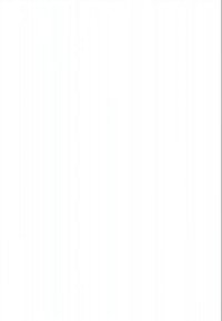 Uma cozinha limpa e moderna com armários brancos, eletrodomésticos em aço inoxidável, bancadas de madeira e uma torneira preta sobre uma pia.