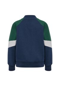 Marinblå sweatshirt med gröna raglanärmar, detaljer i vitt och grått randmönster, ribbad krage och ärmslut, samt en mjuk bomullstextur.