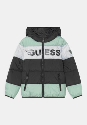 JUNIOR HOODED PADDED - Winter jacket - black/grey