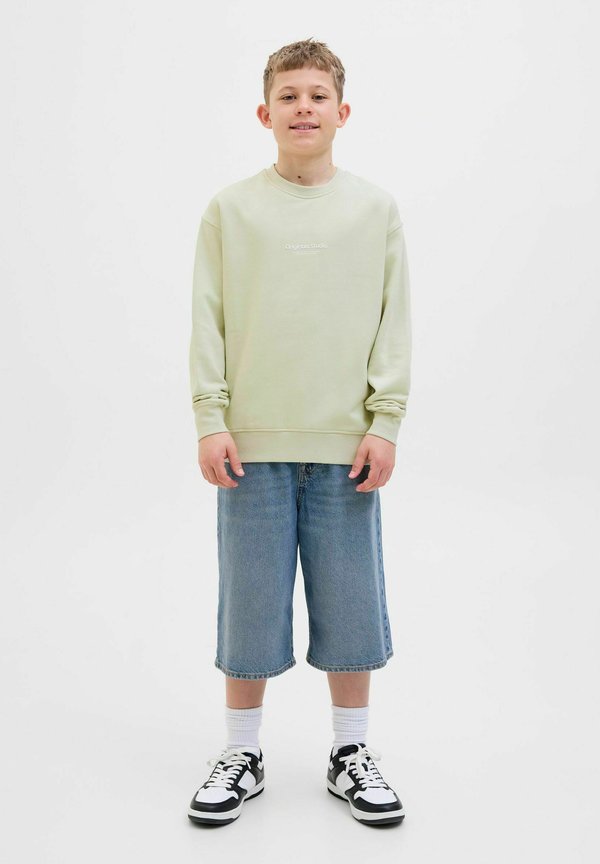 JORVESTERBRO CREW NECK NOOS - Sweatshirt - celadon tint